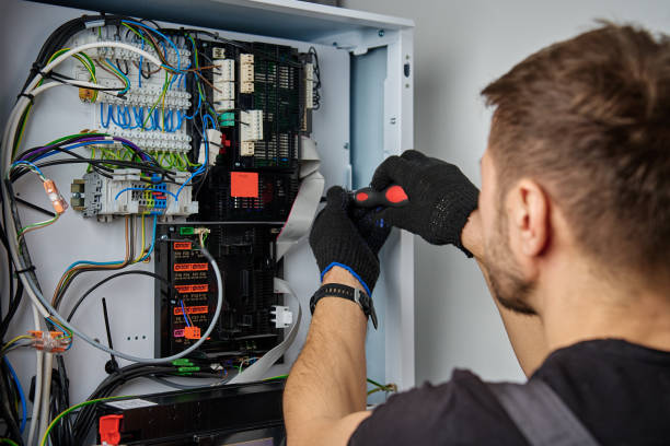 Licensed Electrical Panel Upgrade service in Johnson Lane, NV - No Joke electrician